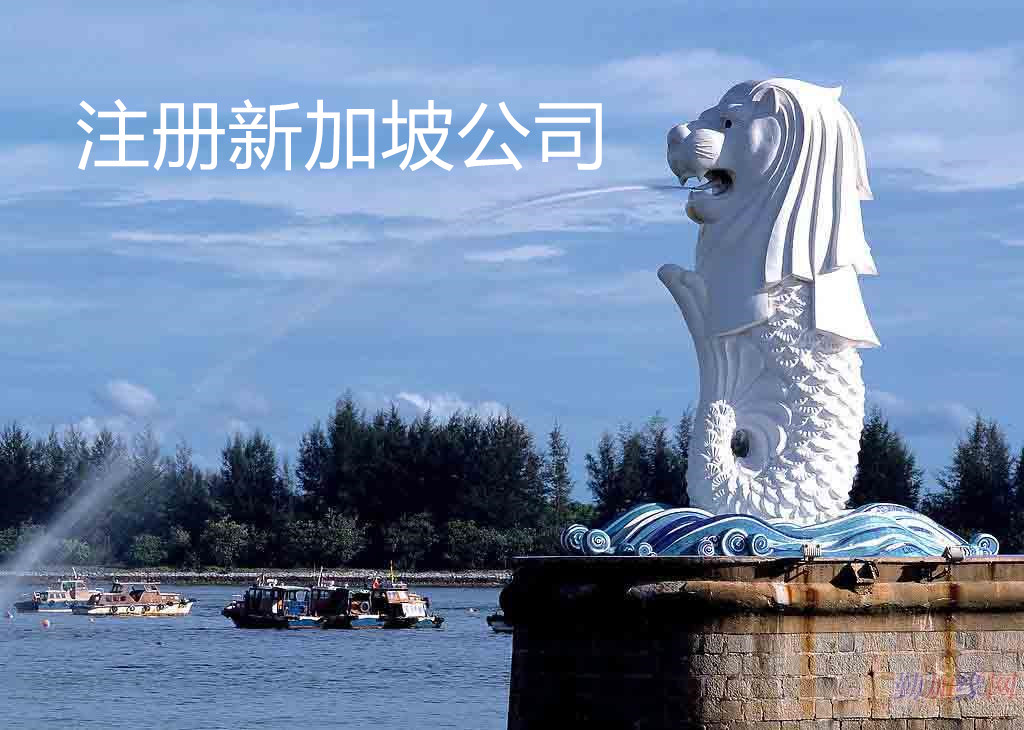 注冊新加坡公司 注冊新加坡公司